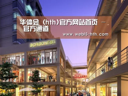案例展示一(图1)