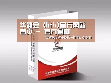 项目名称十三
