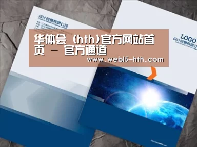 项目名称十