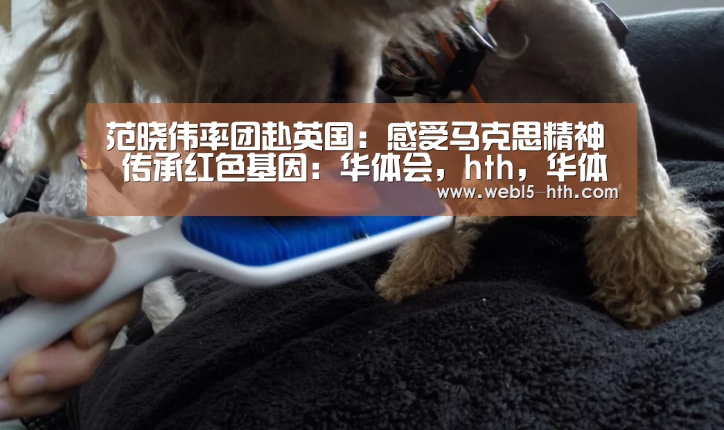 范晓伟率团赴英国:感受马克思精神 传承红色基因:华体会,hth,华体会官网(图3) 华体会,hth,华体会官网