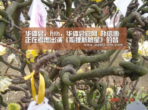 华体会,hth,华体会官网_朴信惠正在考虑出演《狐狸新娘星》的替代作品 或将9月回归荧幕(图2) 华体会,hth,华体会官网