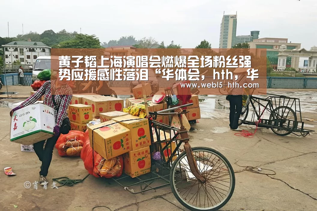 华体会，hth，华体会官网
