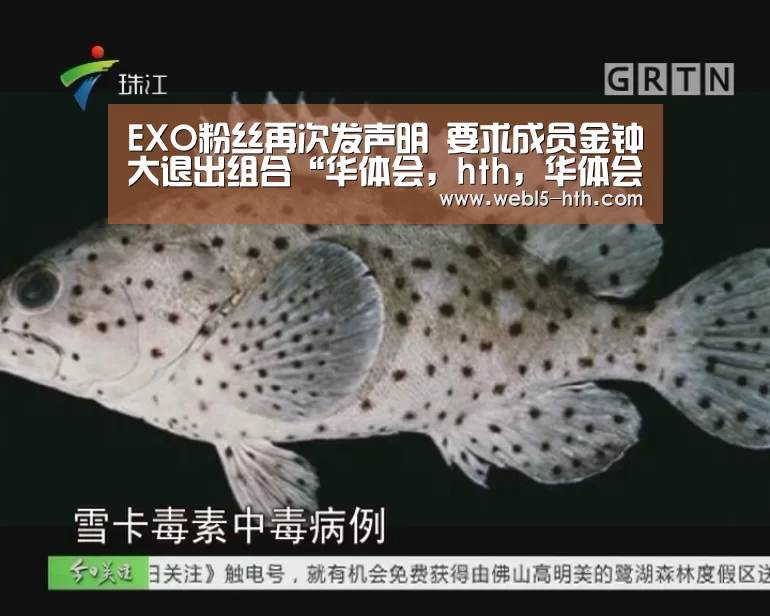 华体会，hth，华体会官网