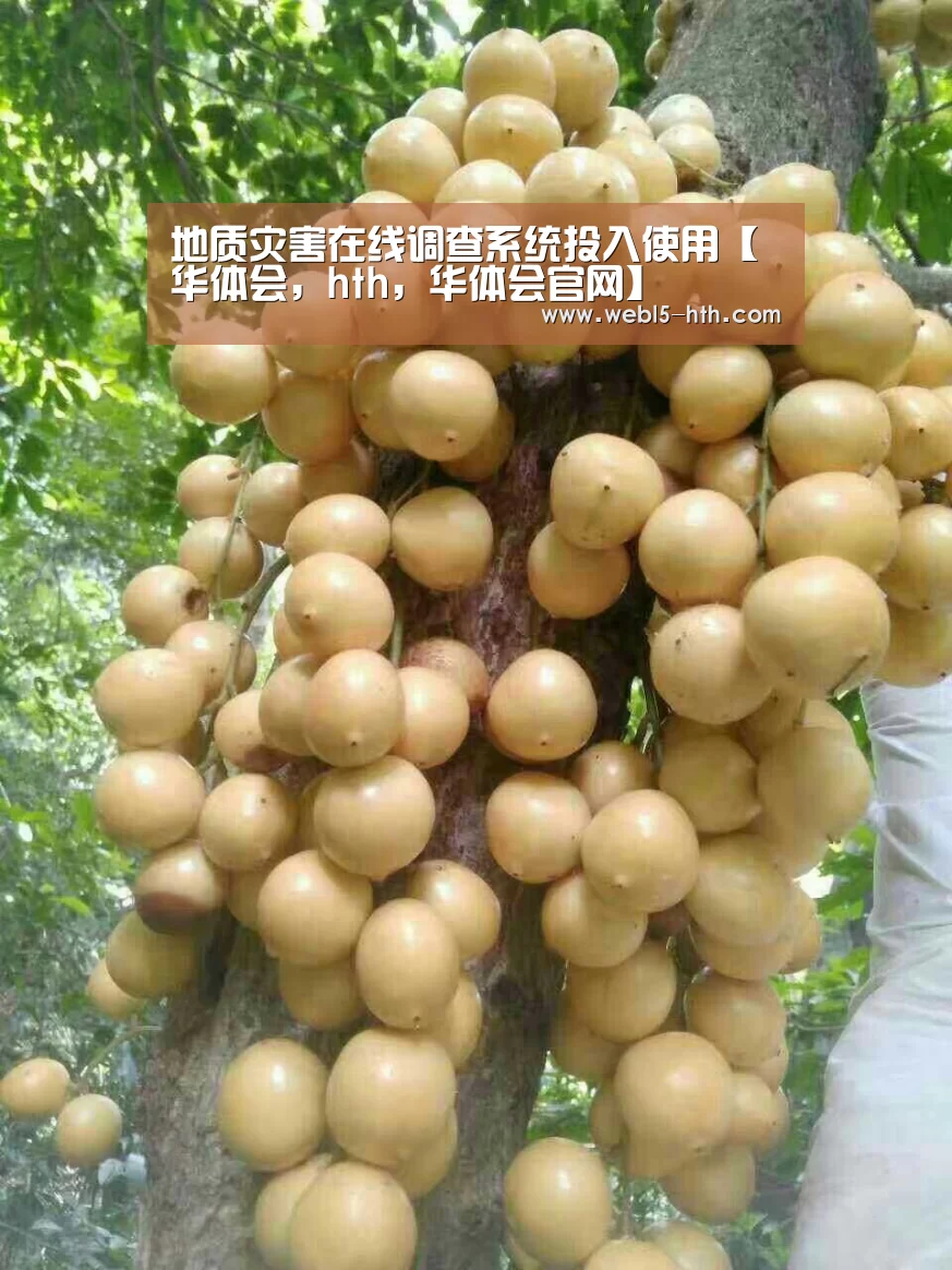 华体会，hth，华体会官网