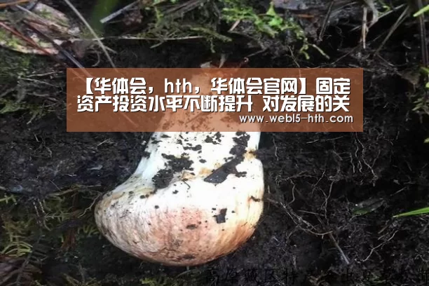 【华体会,hth,华体会官网】固定资产投资水平不断提升 对发展的关键性作用持续发挥 ——新中国成立70周年经济社会发展成就系列报告之九(图2) 华体会,hth,华体会官网